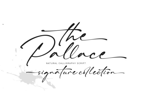 A Designer’s Review of The Pallace Script Font
