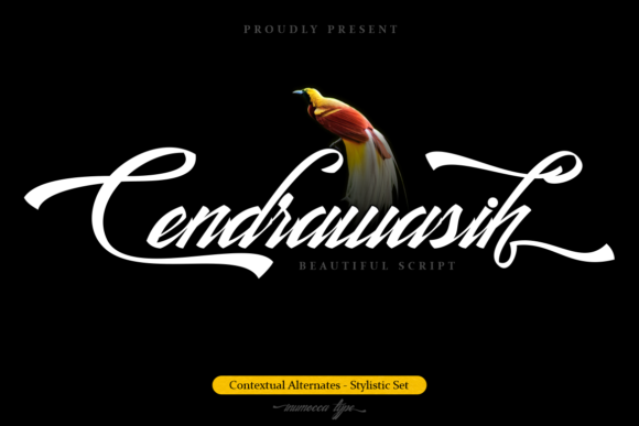 Discover Cendrawasih: A Versatile Handwritten Font for Creative Projects