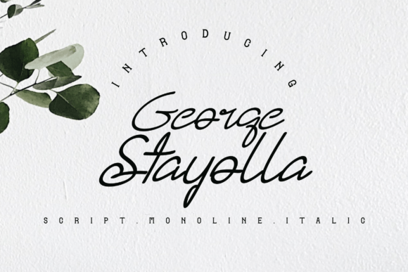 George Stayolla: A Handwritten Font for Digital Elegance