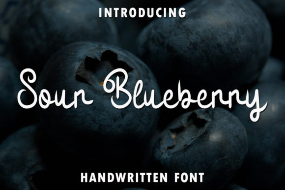 How Sour Blueberry Became the Star of My Latest Branding Project