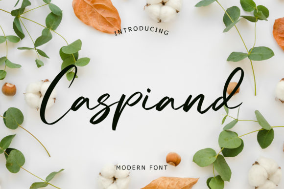 The Caspiand Font for Modern Business Branding