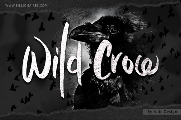 Wild Crow: The Perfect Handwritten Font for Your Brand